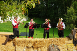 Bezirksweisenblasen in Ardagger Markt mit den Klostringern