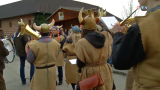 Erla-Wikinger beim Faschingsumzug Kronstorf/Ernsthofen